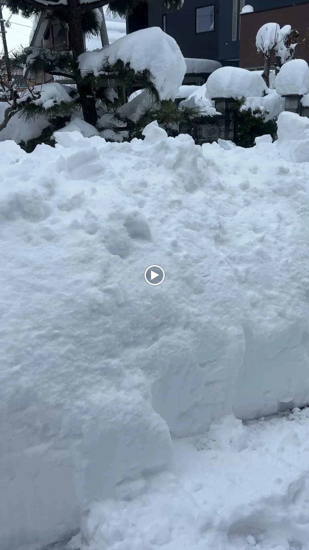 サムネイル画像 6