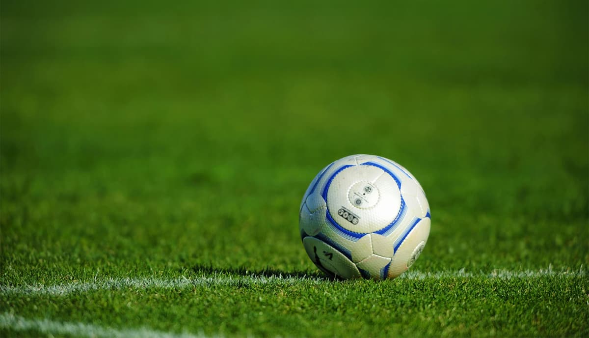 FC PHOENEX(フェニックス) SHINAGAWA 品川区立第四日野小学校のメイン画像