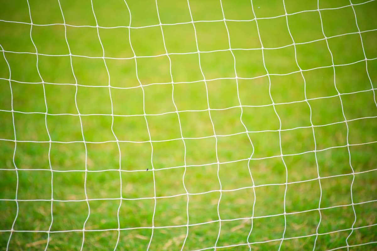 FC PHOENEX(フェニックス) SHINAGAWA 品川区立第四日野小学校のサムネイル画像 2