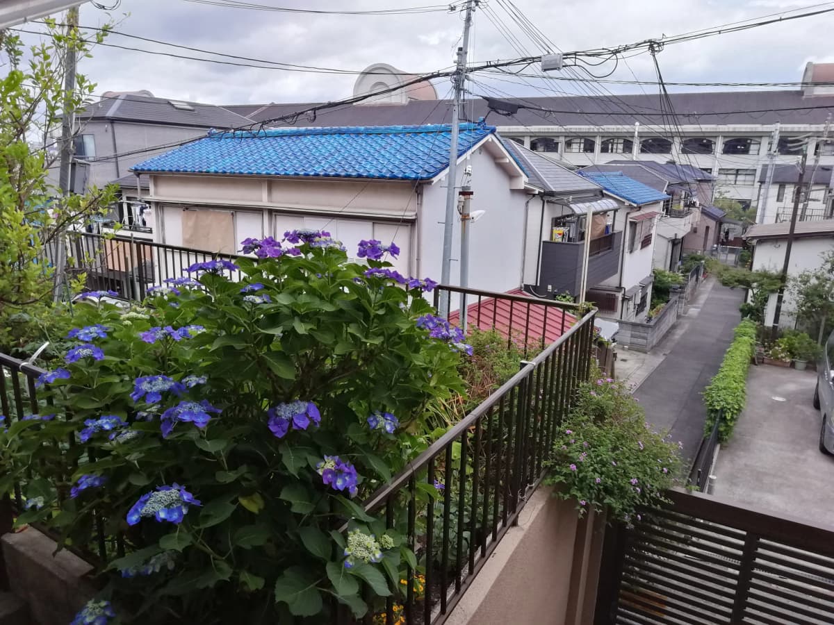 岳豊書道教室 長田教室 画像 4