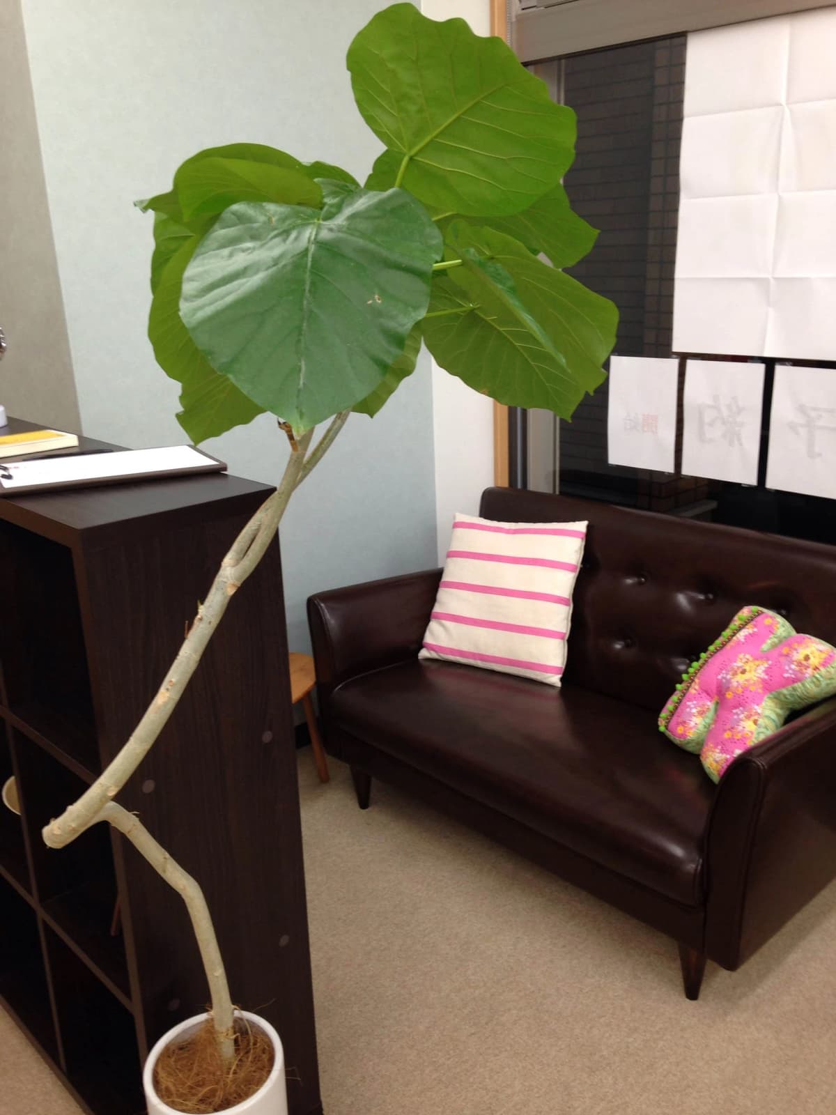 完全個別　松陰塾 大宰府松陰塾 太宰府市国分 画像 17