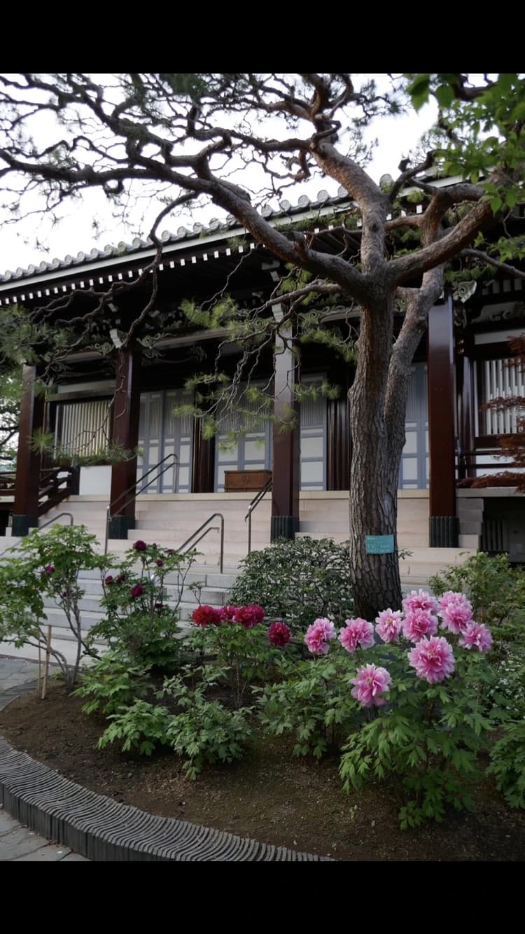 篠山朝子ヴァイオリン教室のサムネイル画像 3