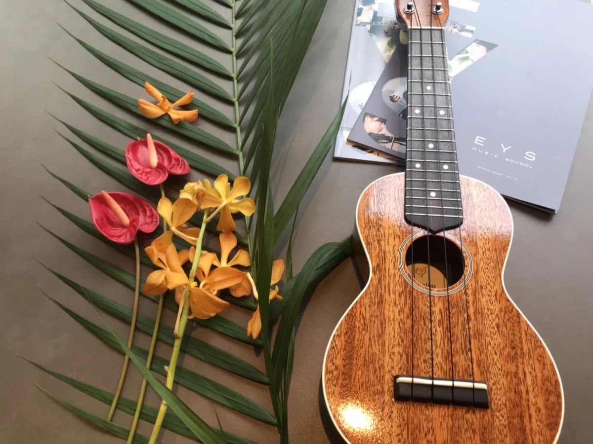 EYS-Kids 音楽教室 その他弦楽器 三宮スタジオ 画像 18