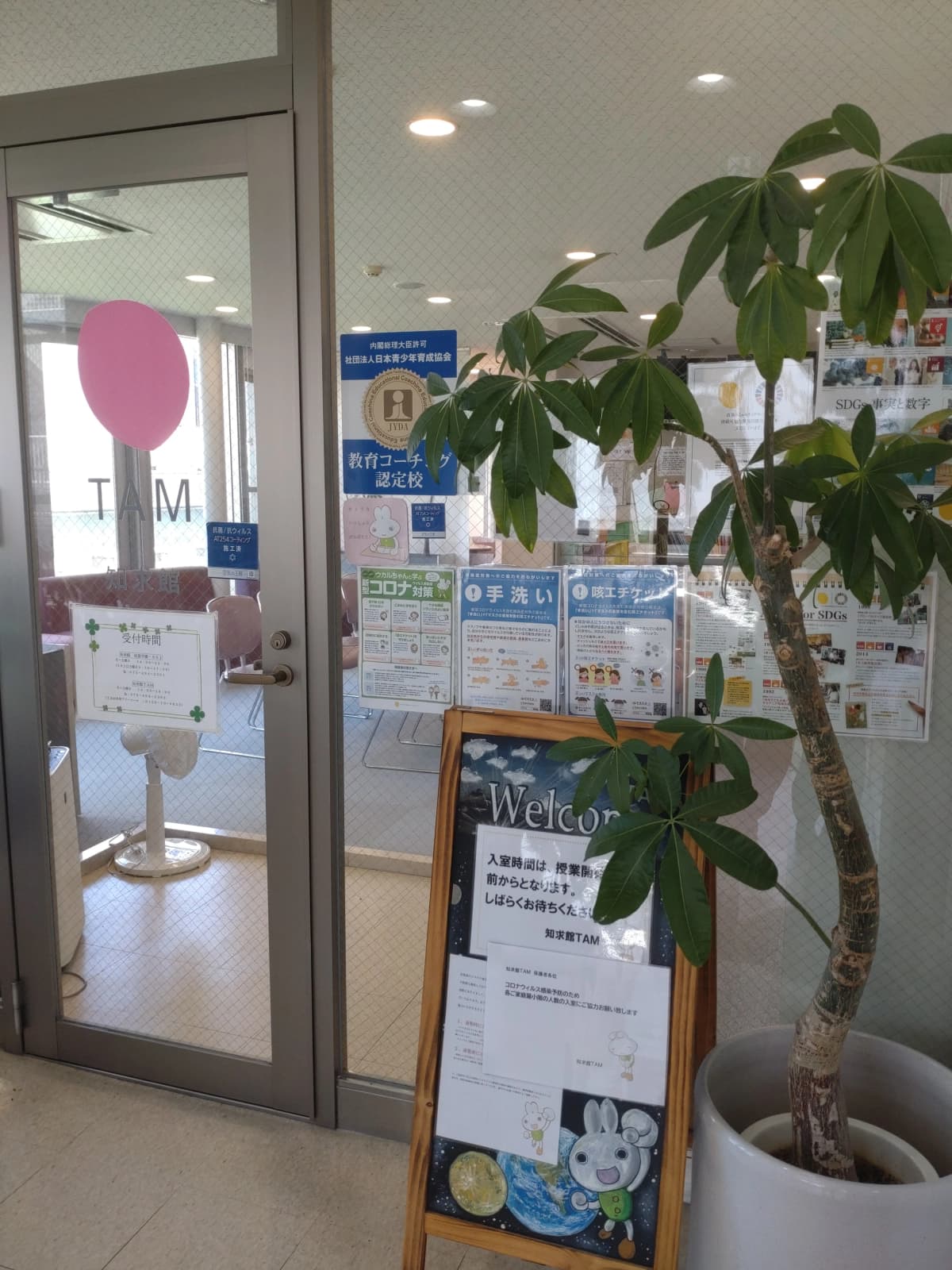 成基の幼児教育 TAM 知求館 画像 25