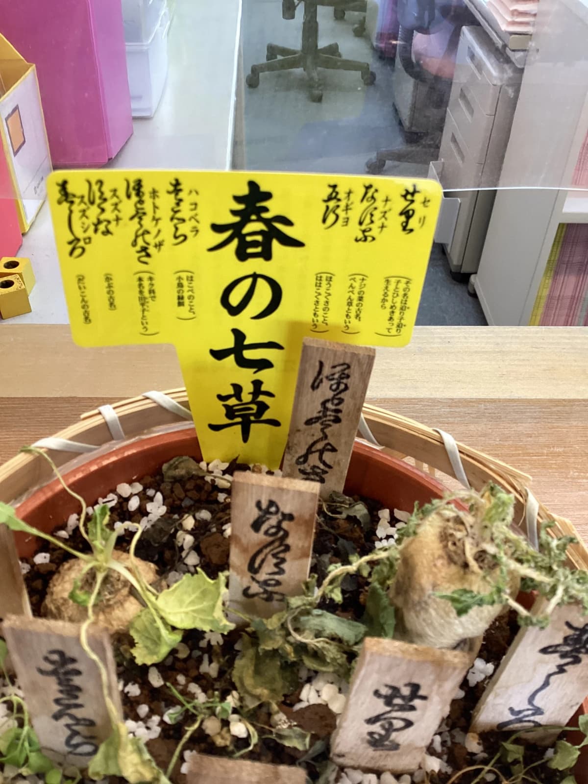 成基の幼児教育 TAM 知求館 画像 27