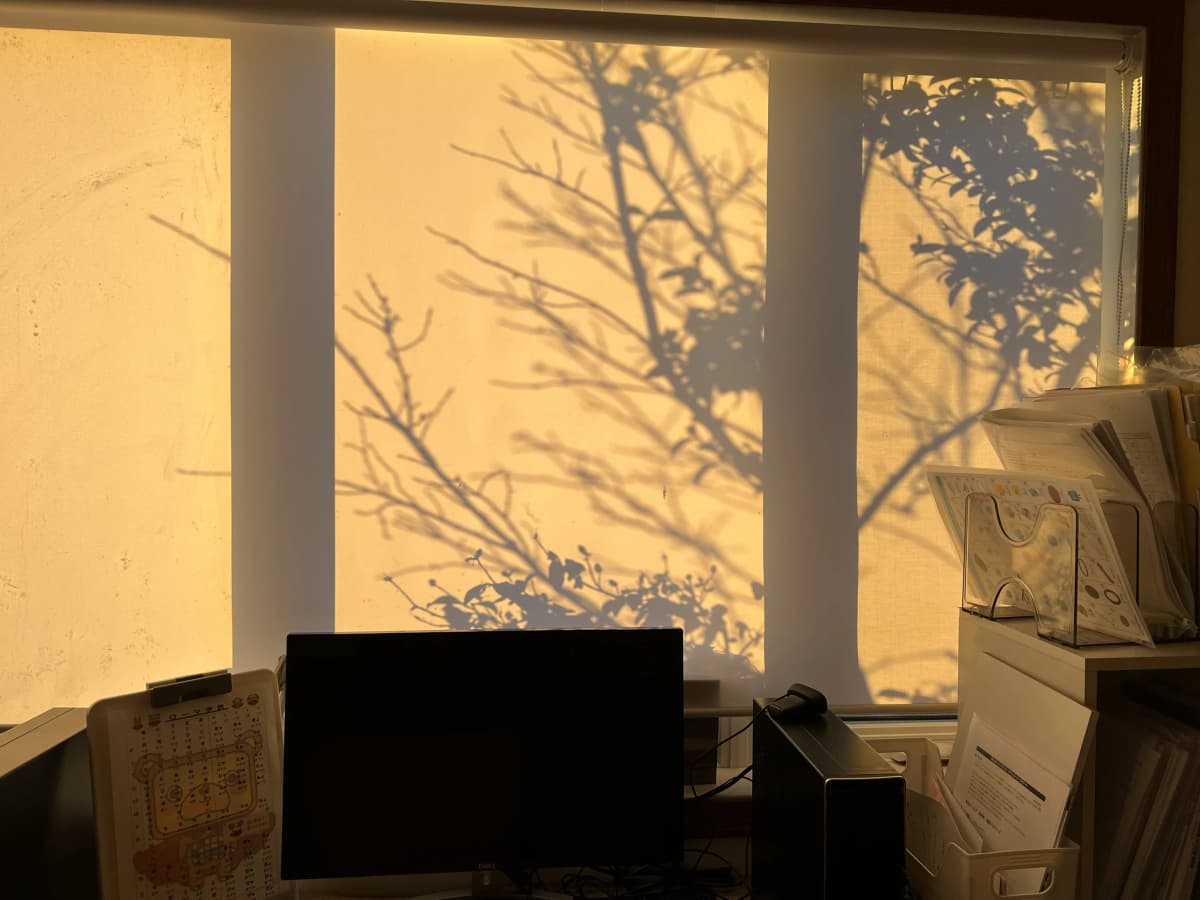 サムネイル画像 6