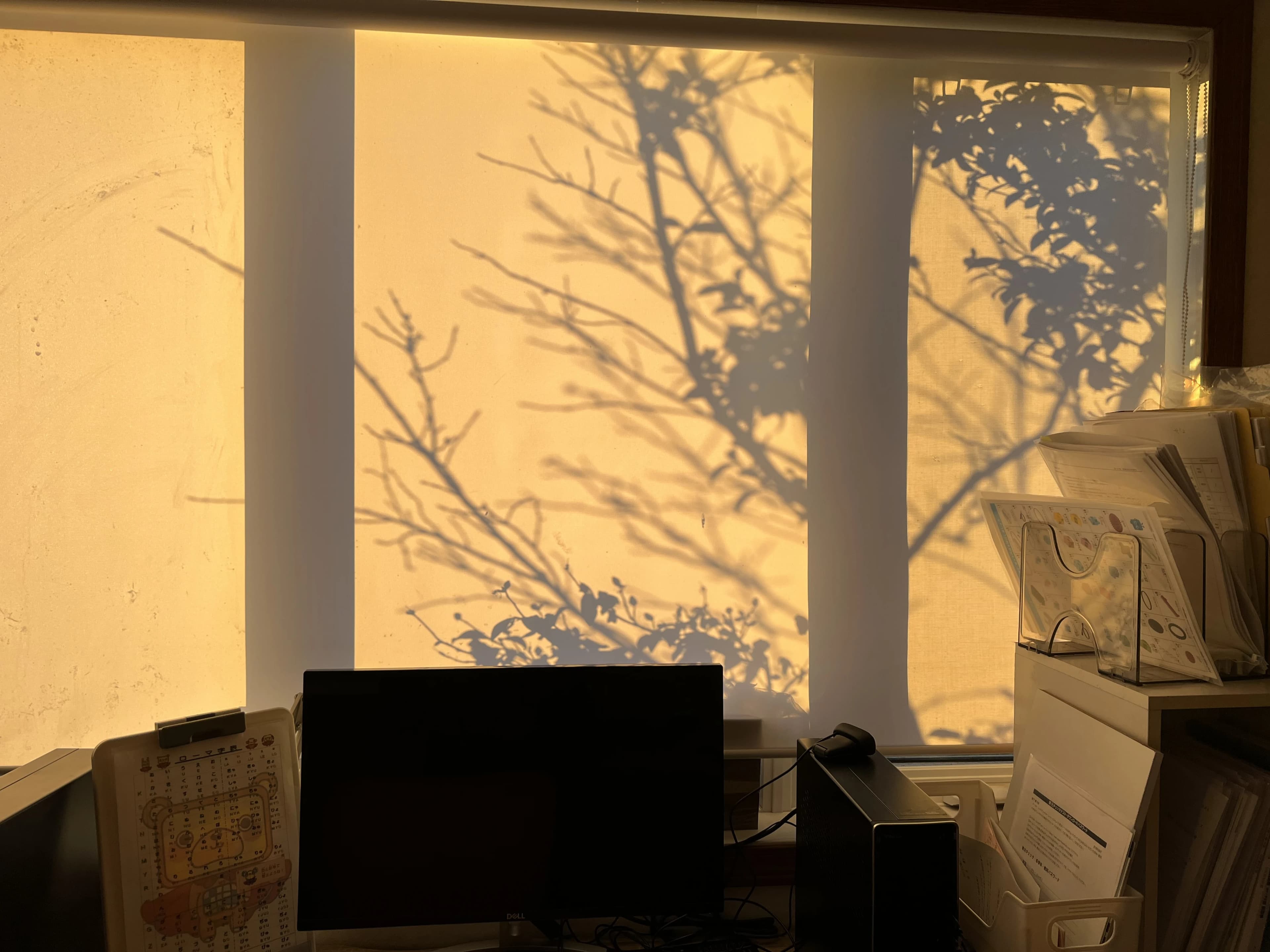 アーテックエジソンアカデミー バレッドキッズ　鶴が丘教室のサムネイル画像 5