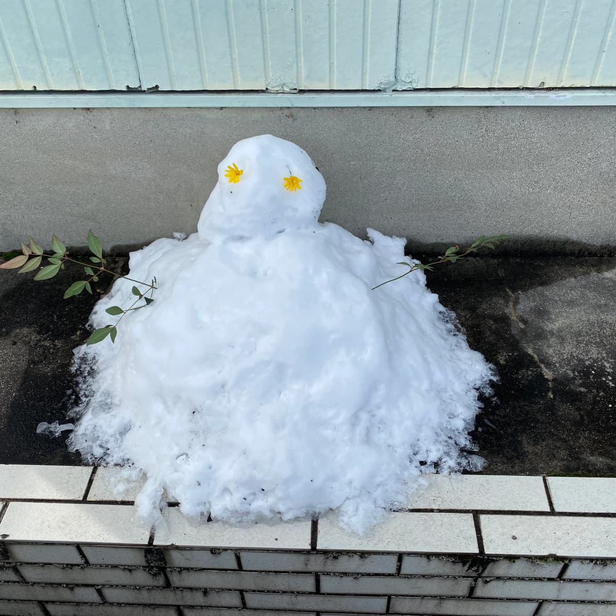 アーテックエジソンアカデミー パソコン教室オズ　一宮玉野教室 画像 25