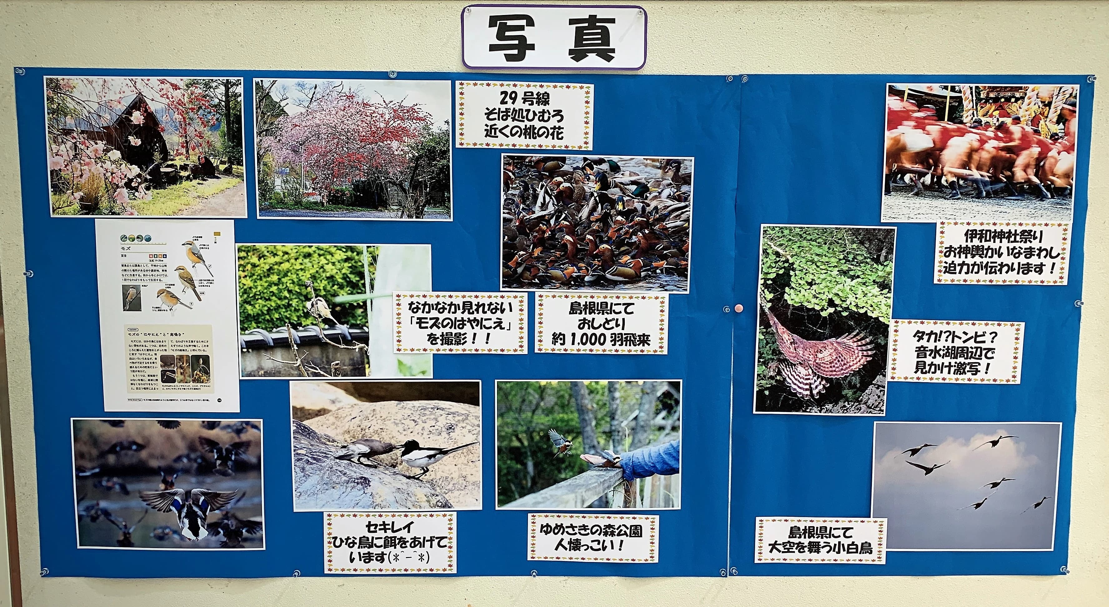 パソコン市民講座 咲ランドショッピングセンター教室 画像 12