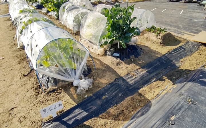 サムネイル画像 4