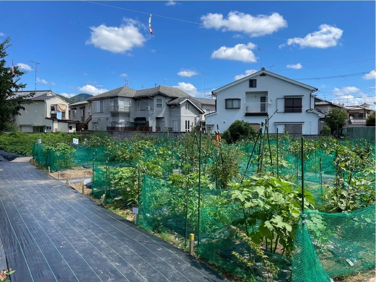 サムネイル画像 3