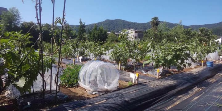 サムネイル画像 5