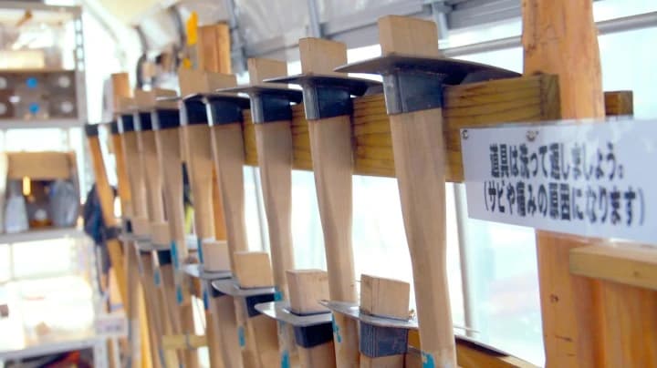 シェア畑 東寺のサムネイル画像 4