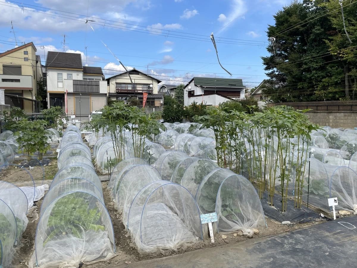 シェア畑 金閣寺のメイン画像