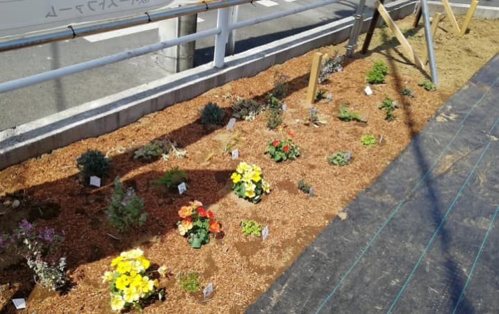 シェア畑 蕨イーストファームのメイン画像