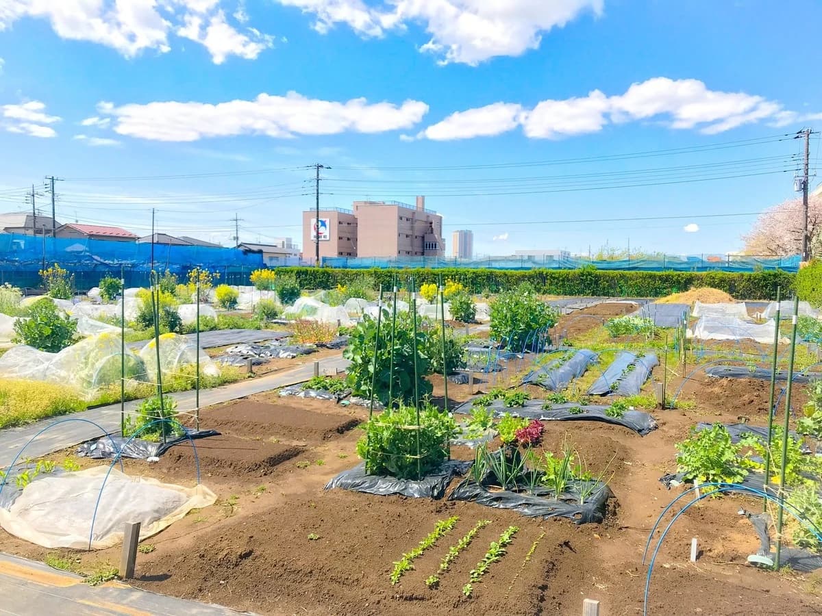 シェア畑 市川本八幡のサムネイル画像 2