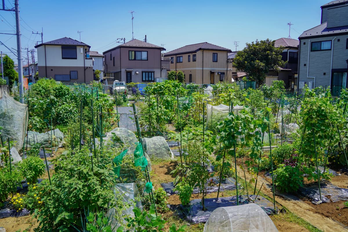 シェア畑 市川北方のサムネイル画像 2