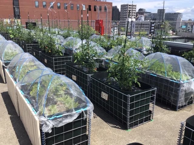 サムネイル画像 3