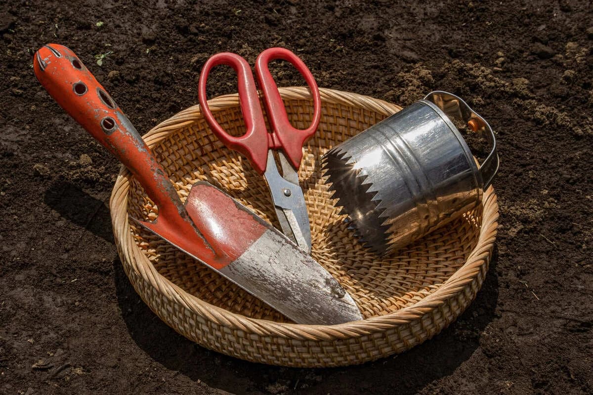 サムネイル画像 5