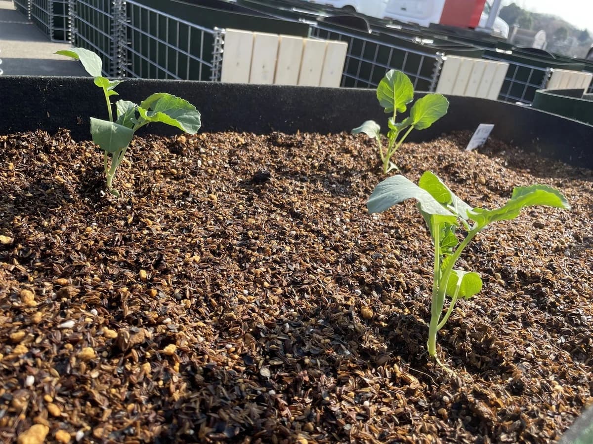 サムネイル画像 6