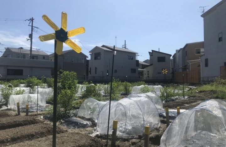 シェア畑 茨木のサムネイル画像 5