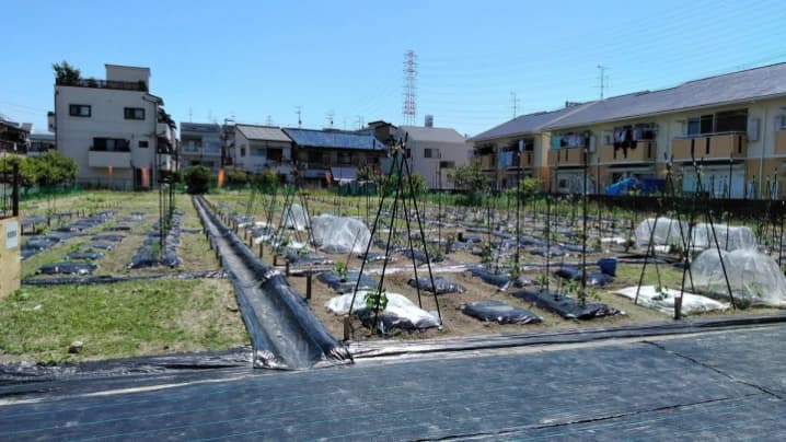 サムネイル画像 5