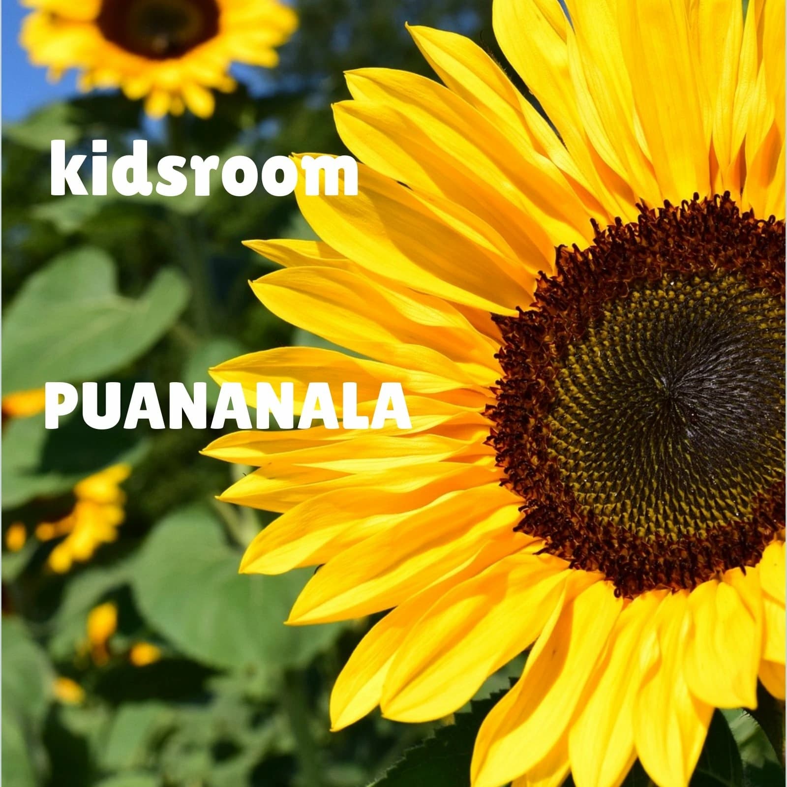 Kid’sroom PUANANALAのメイン画像