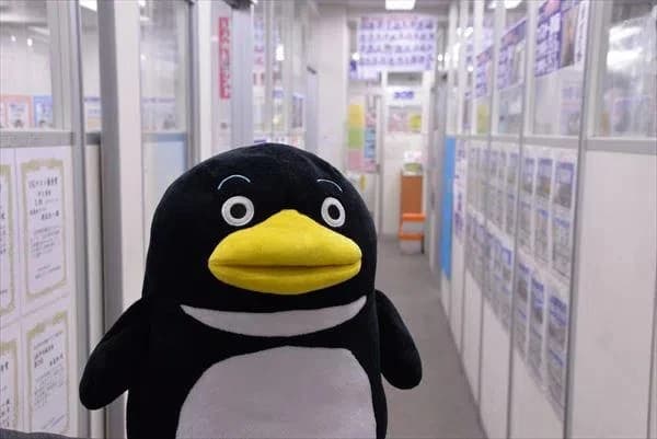 プロクラ 臨海セミナー 西葛西校のサムネイル画像 2