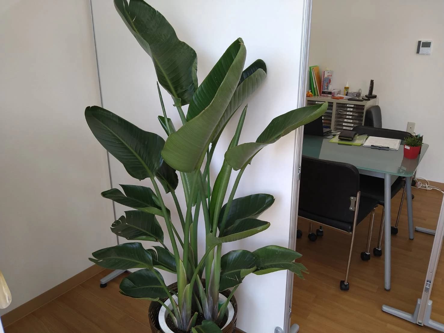 プロクラ あさなぎ学園 八潮校のサムネイル画像 5