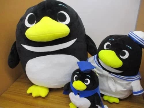 プロクラ 臨海セミナー 行徳校のサムネイル画像 2