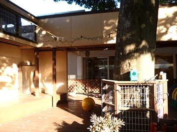 立川さいわいFC かしの木幼稚園のサムネイル画像 2