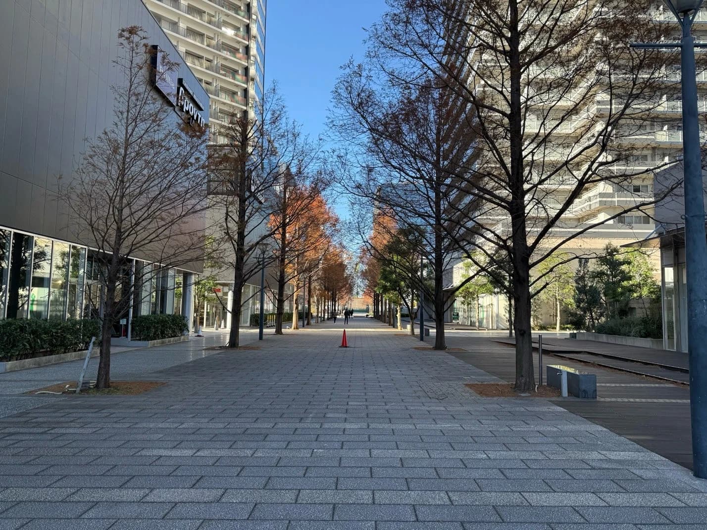 プログラミング教育 HALLO キッズデュオ みなとみらい校のサムネイル画像 2