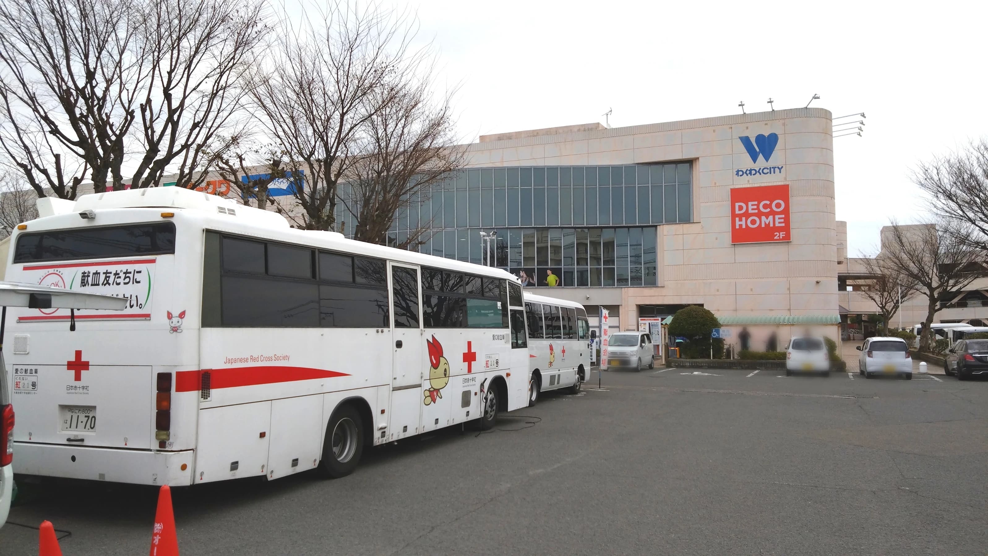 I.K.O.N.極真会館 大阪南海支部 阪南道場のサムネイル画像 2