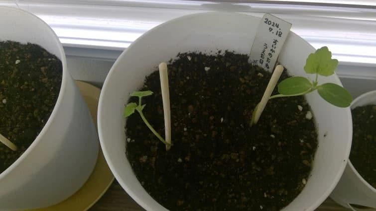 iTeen 新下関駅前校のサムネイル画像 3