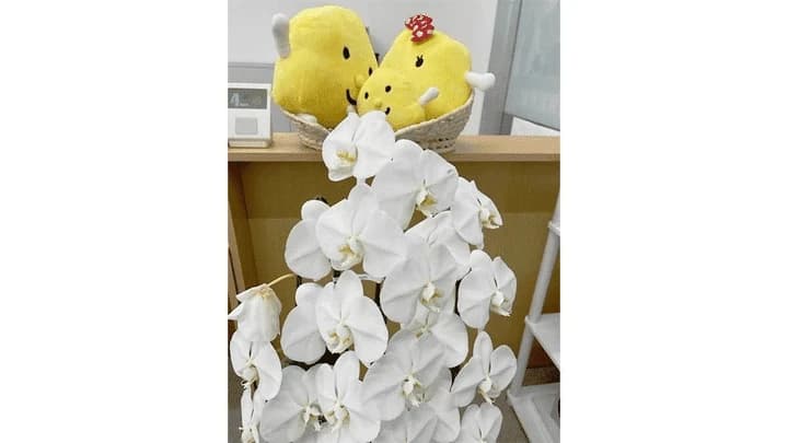 サムネイル画像 6