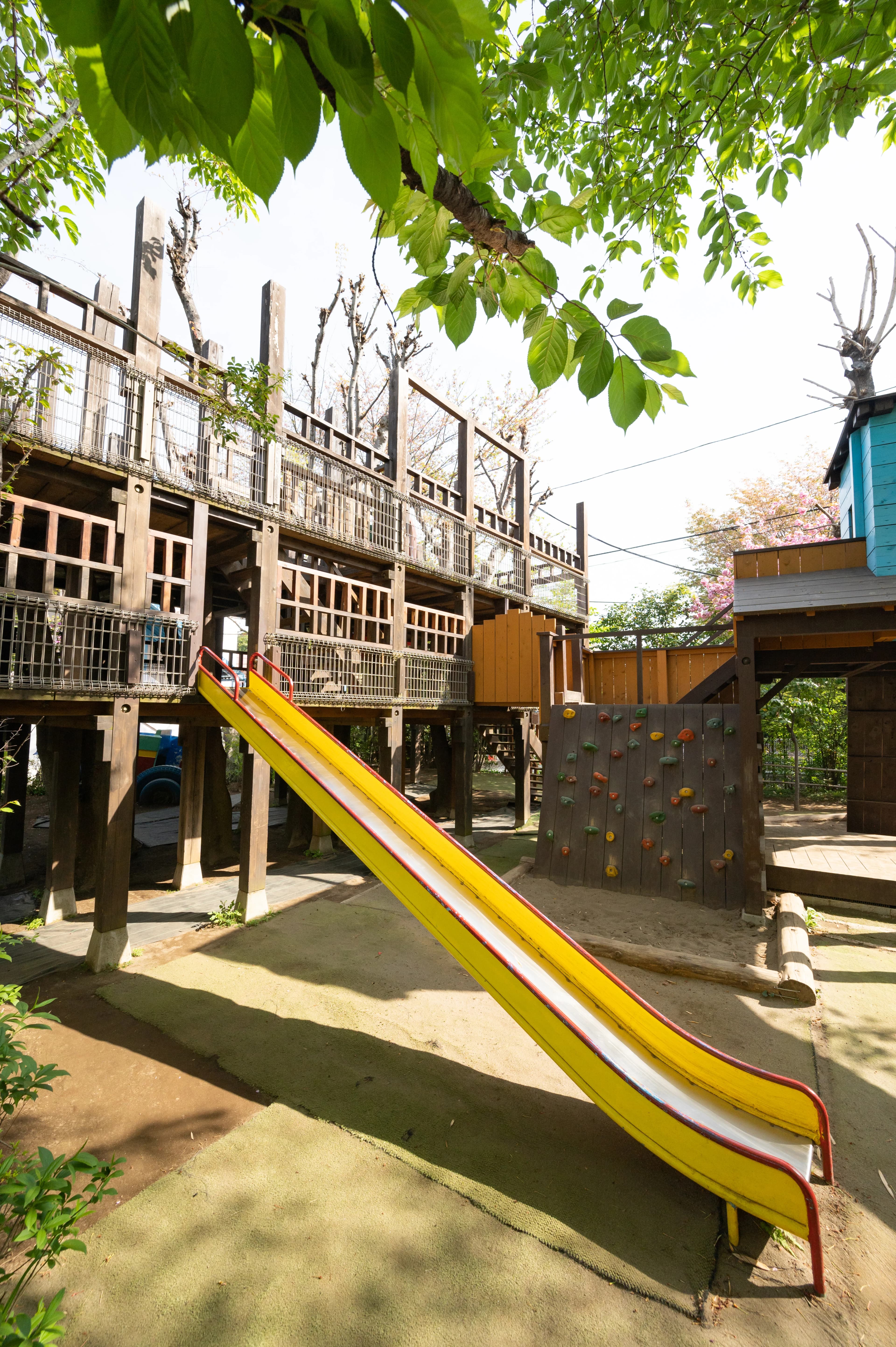 ProgLab（プログラボ） きよせ幼稚園のメイン画像