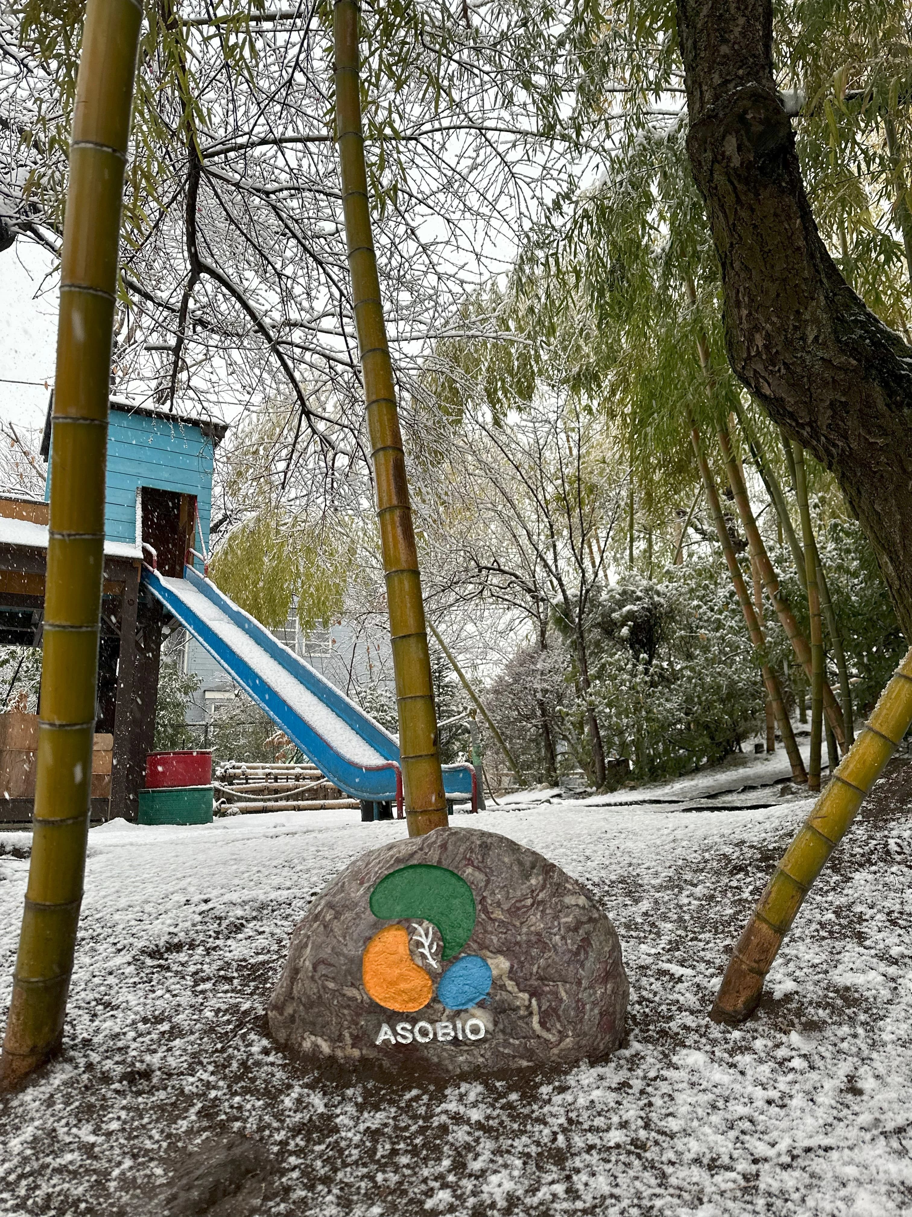 ProgLab（プログラボ） きよせ幼稚園のサムネイル画像 5