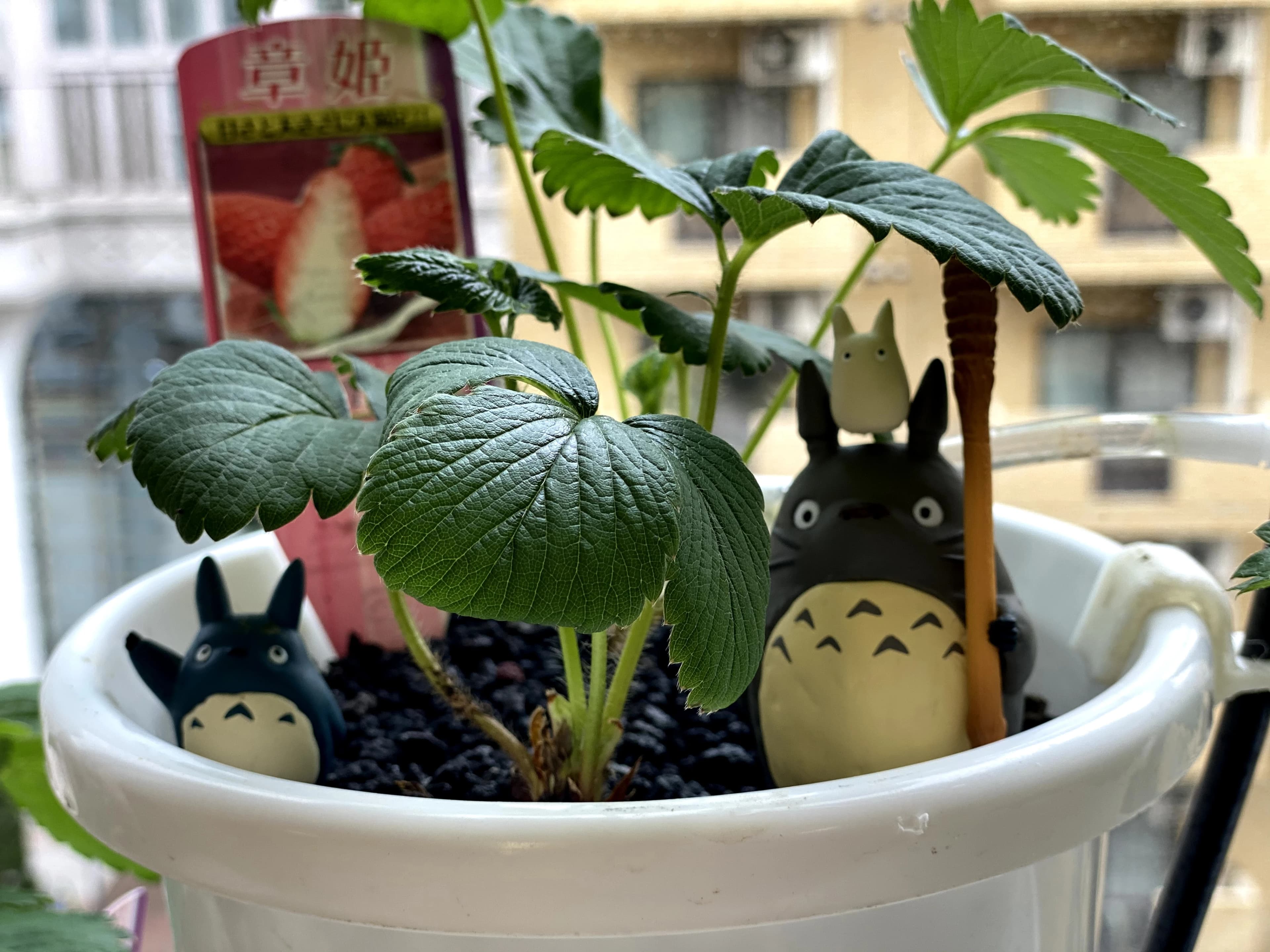 エジソンアカデミー おおたfab 画像 96