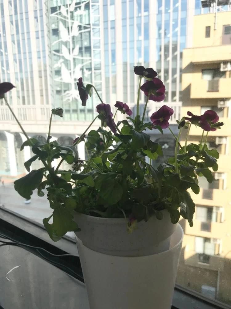 エジソンアカデミー おおたfabのサムネイル画像 3