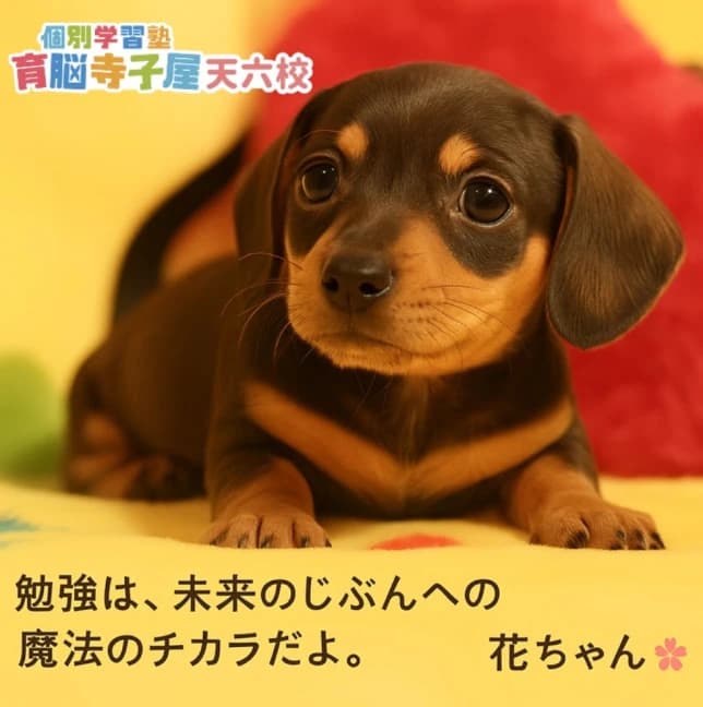 サムネイル画像 5