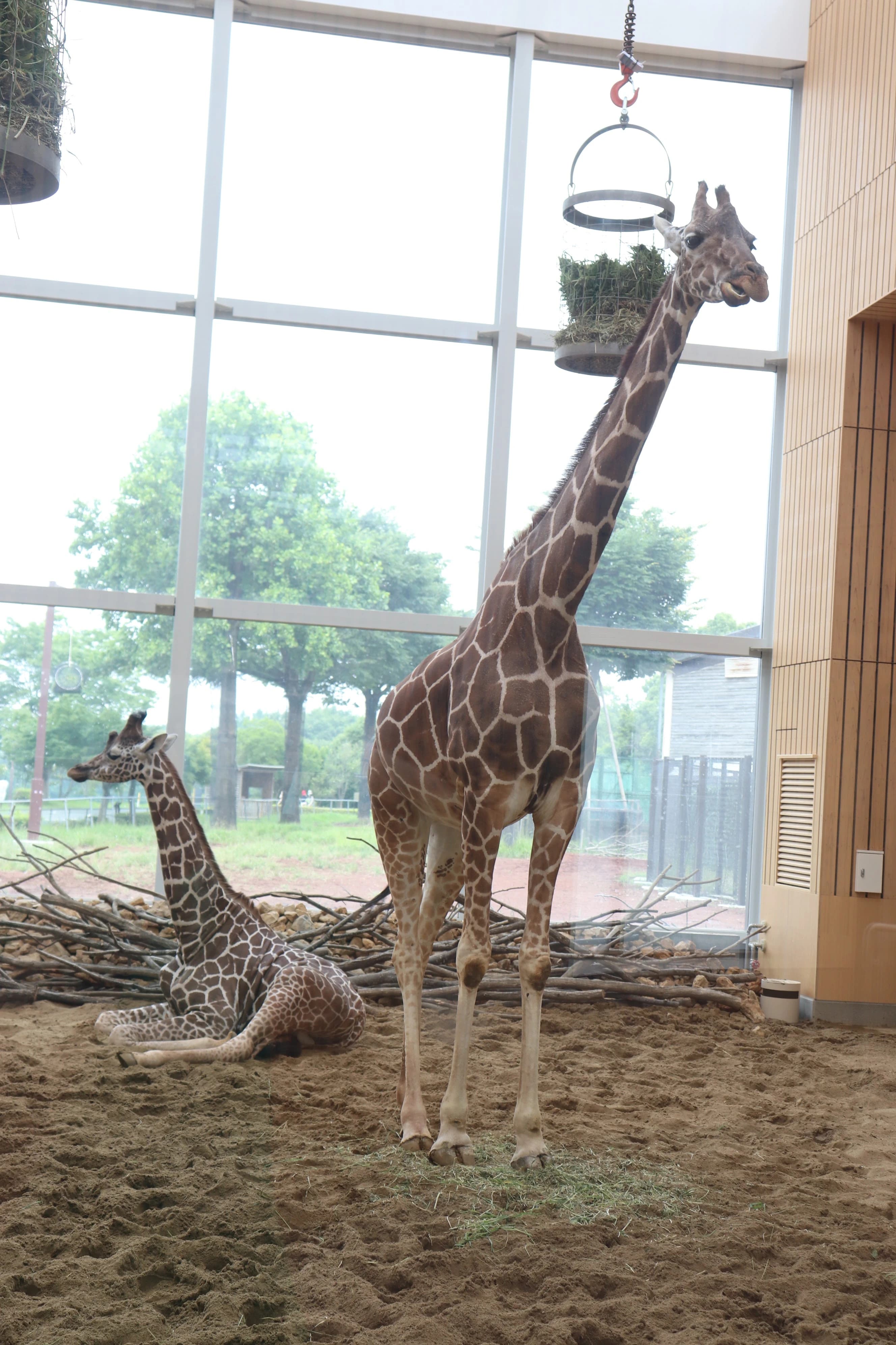 エジソンアカデミー ビーンズインターナショナルプリスクール東大宮のサムネイル画像 3