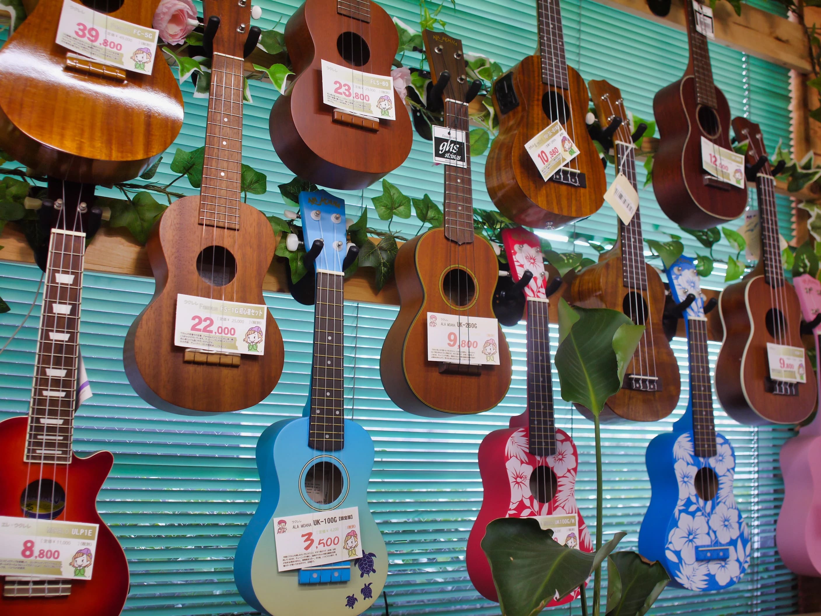 エジソンアカデミー ミュージックハウス西尾楽器のサムネイル画像 2