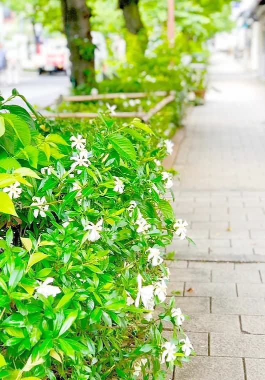 サムネイル画像 4