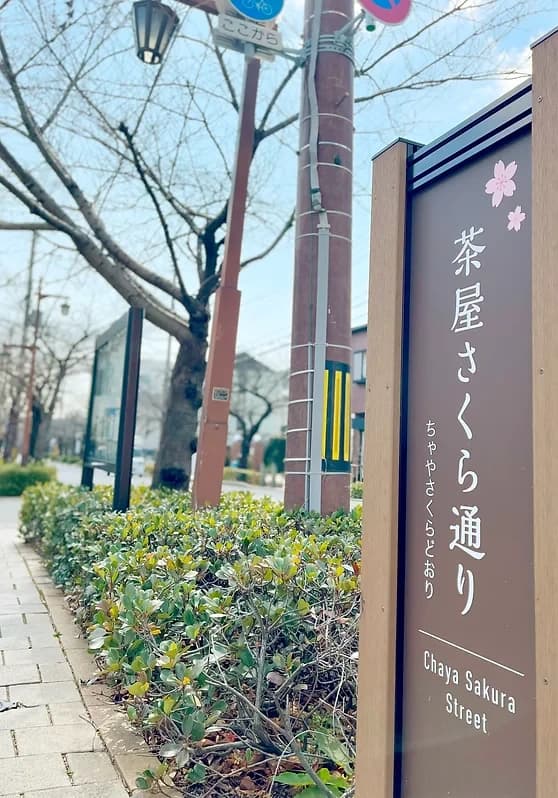 Kidsプログラミングラボ 県立芦屋高校前教室のサムネイル画像 2