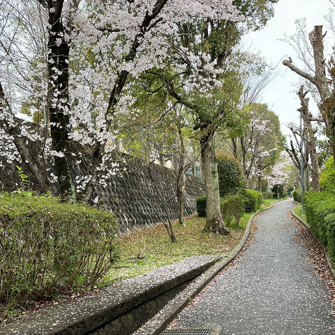 市民パソコン塾 富田林校のメイン画像