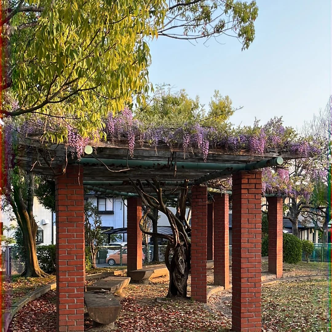 市民パソコン塾 富田林校のサムネイル画像 4