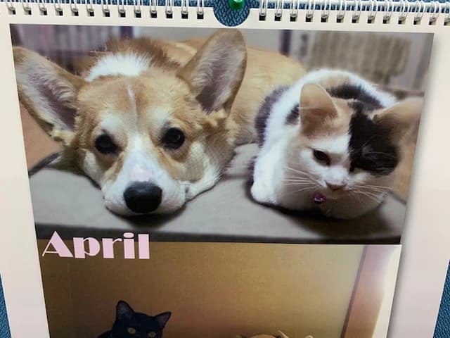 市民パソコン塾 鴻巣校 画像 73