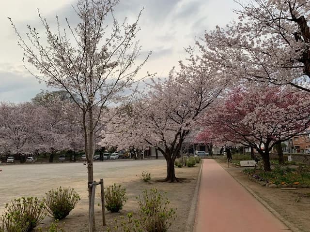 市民パソコン塾 鴻巣校 画像 75