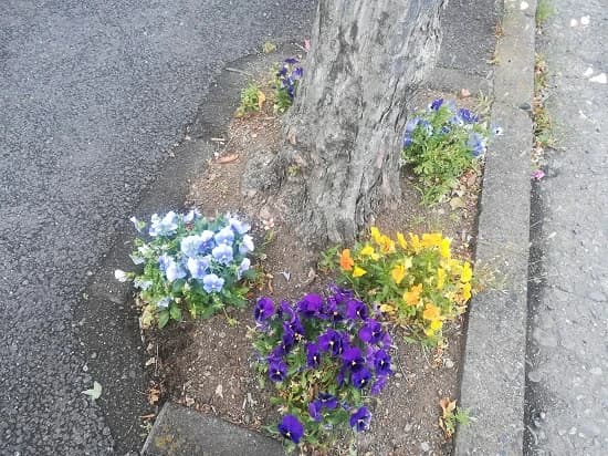 市民パソコン塾 狭山校 画像 33