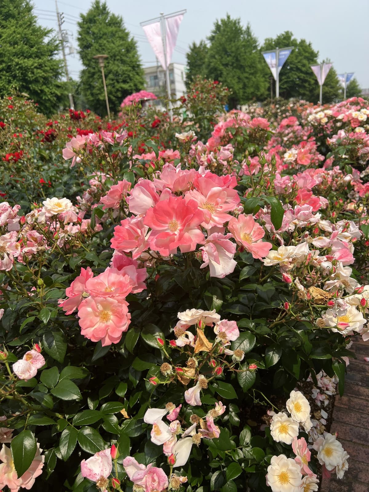 市民パソコン塾 与野本町校 画像 30